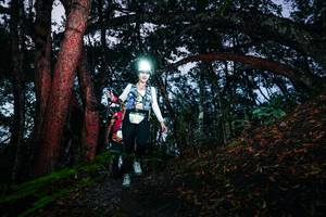 BIB: 
                            <button type="button" onclick="openModal(26341496)" class="btn btn-primary btn-sm float-right btn-popup" data-toggle="modal" data-target=".modal-high-quality">
                        <i class="fas fa-shopping-cart"></i> Add to Cart
                    </button>
                                            <button type="button" onclick="isThisMe(26341496, true)" class="btn btn-success btn-sm float-right btn-popup btn-isme hidden" data-toggle="tooltip" data-placement="bottom" title="นี่คือรูปของคุณใช่ไหม คลิกที่นี่เพื่อเอาเข้าอัลบั้ม">
                        <i class="fas fa-plus"></i> Add to album
                    </button>
                    <button type="button" onclick="isThisMe(26341496, false)" class="btn btn-warning btn-sm float-right btn-popup btn-isnotme hidden">
                        <i class="fas fa-ban"></i> Remove from album
                    </button>